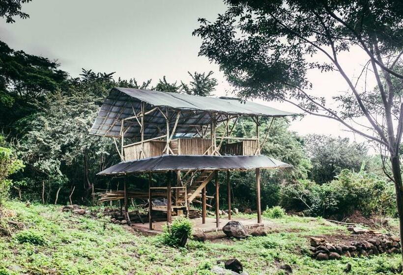 شاليه سوبيريور غرفة نوم واحدة, Finca La Magia