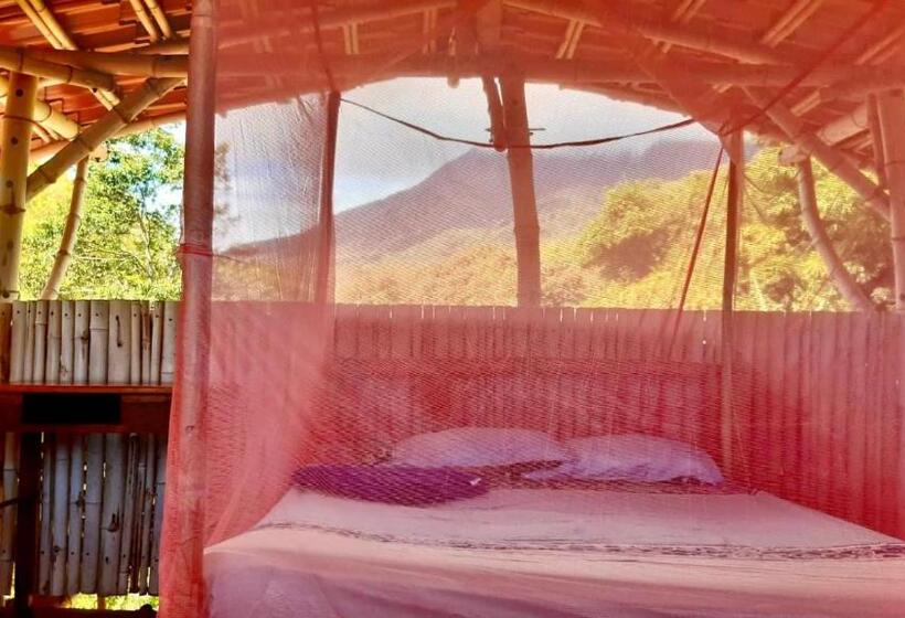 بنجلو عائلى, Finca La Magia