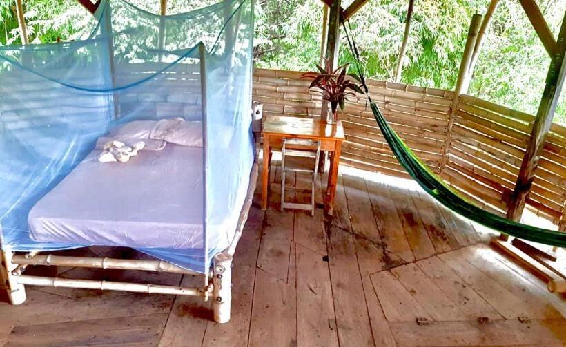 بنجلو عائلى, Finca La Magia