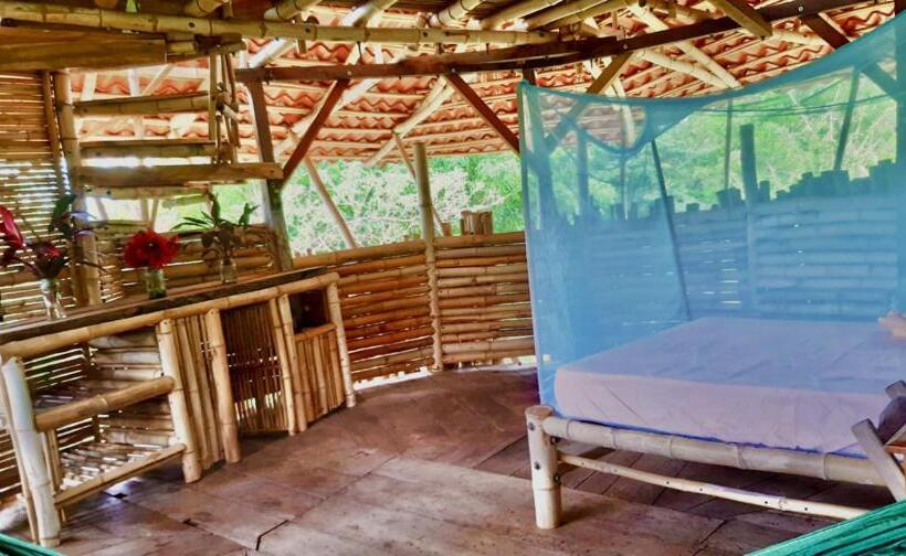 بنجلو عائلى, Finca La Magia