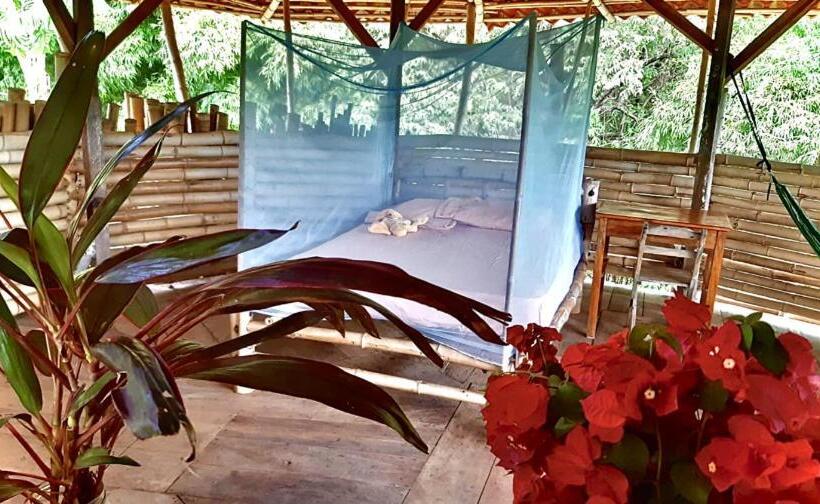 بنجلو عائلى, Finca La Magia