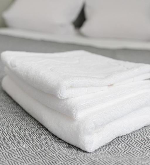 חדר סטנדרט, Kolyba Opryshkiv