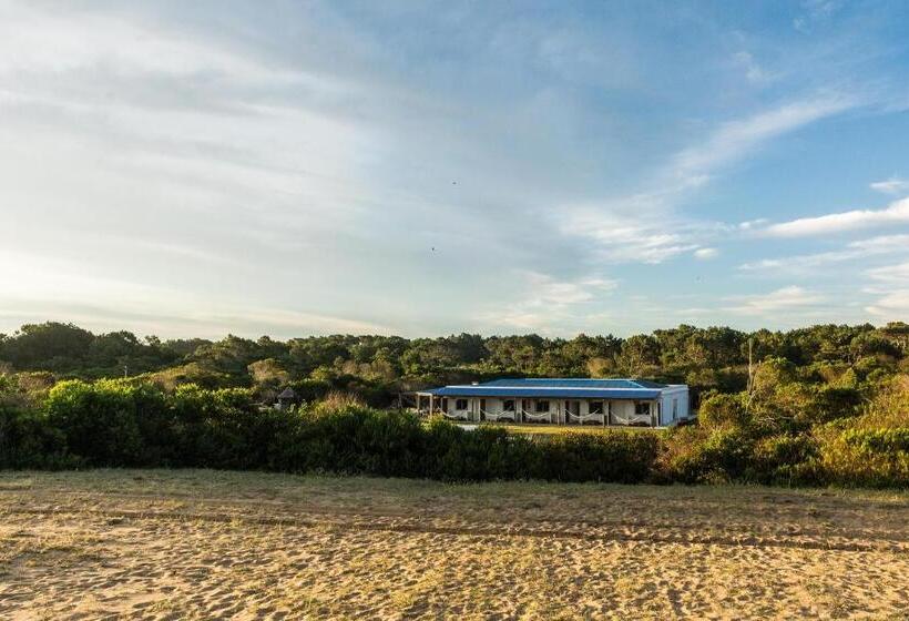 Номер Стандарт, Posada Buscavida