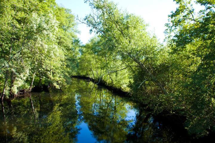 带2个卧室的标准洋房, Retiro Da Arminda