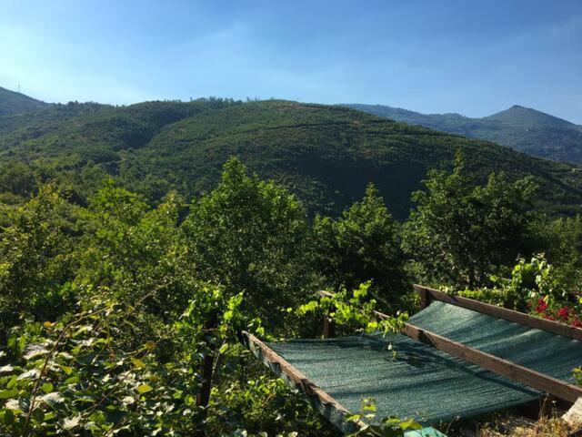 家庭间, Retiro Da Arminda