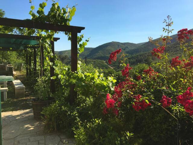 家庭间, Retiro Da Arminda