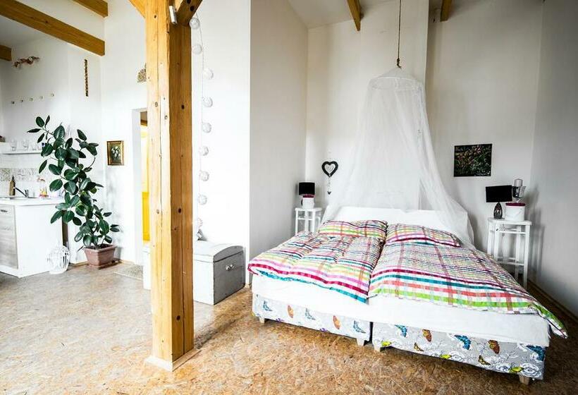 Апартаменты 1 Спальня Вид на Сад, Statek Luníkov