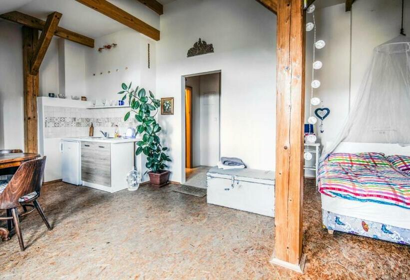 Апартаменты 1 Спальня Вид на Сад, Statek Luníkov