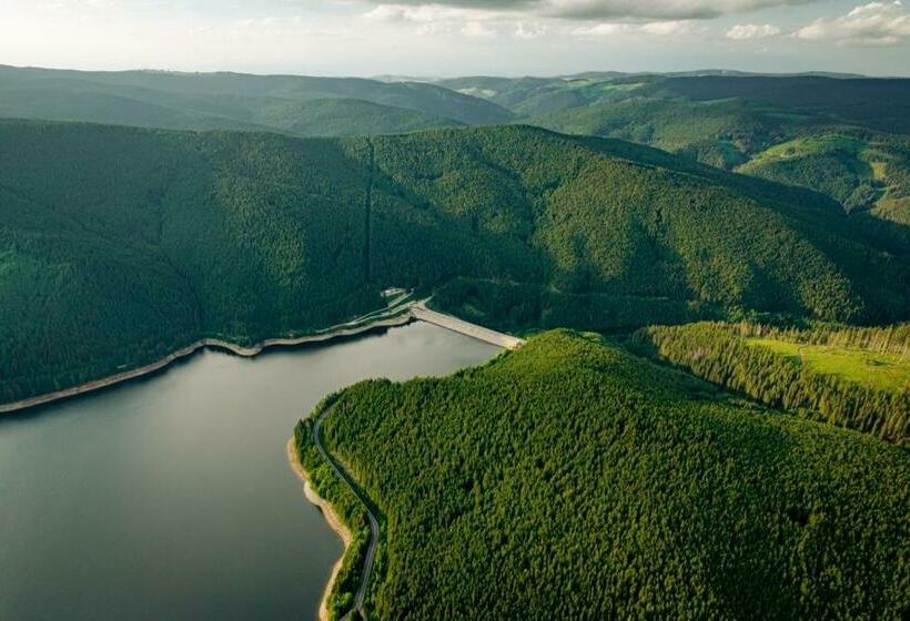 غرفة قياسية, Cabana Cerbul Oasa Transalpina