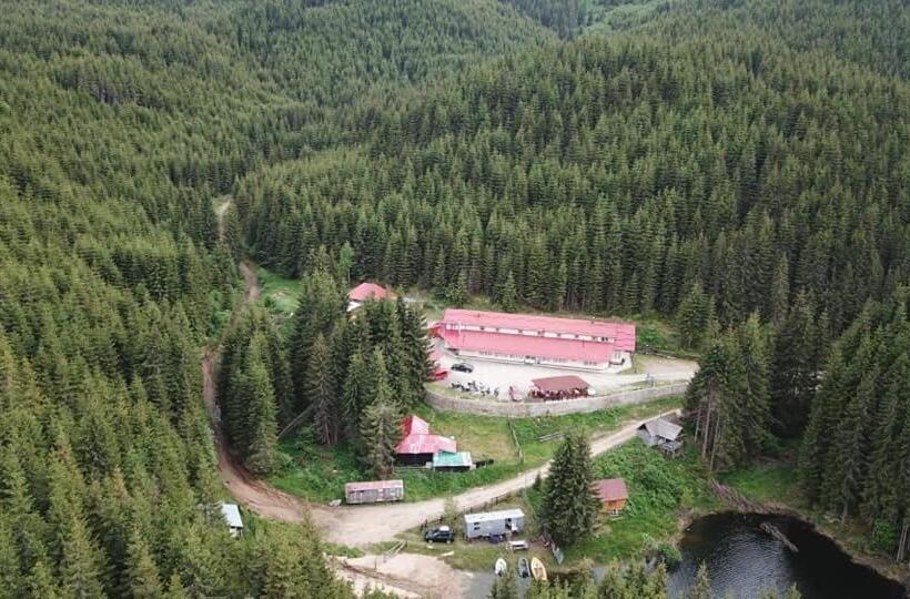 غرفة قياسية, Cabana Cerbul Oasa Transalpina