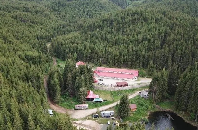 スタンダードルーム, Cabana Cerbul Oasa Transalpina