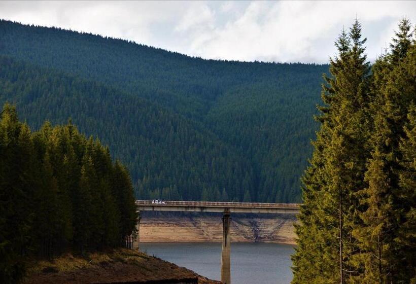 غرفة قياسية, Cabana Cerbul Oasa Transalpina