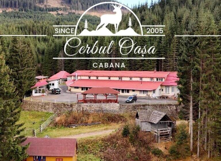 غرفة قياسية, Cabana Cerbul Oasa Transalpina