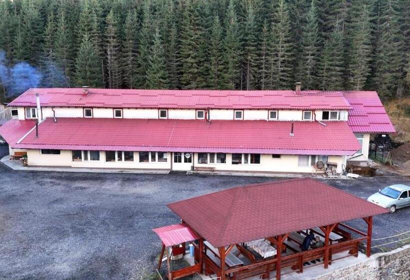 غرفة قياسية, Cabana Cerbul Oasa Transalpina