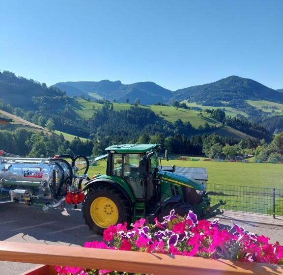 バルコニー付きスタンダードルーム, Seyerlehnerhof