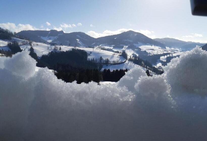 １ベッドルームアパートメント, Seyerlehnerhof