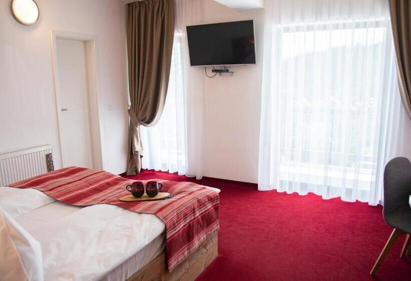 マウンテンビュースタンダードルーム, Pensiune Rara Paltinis