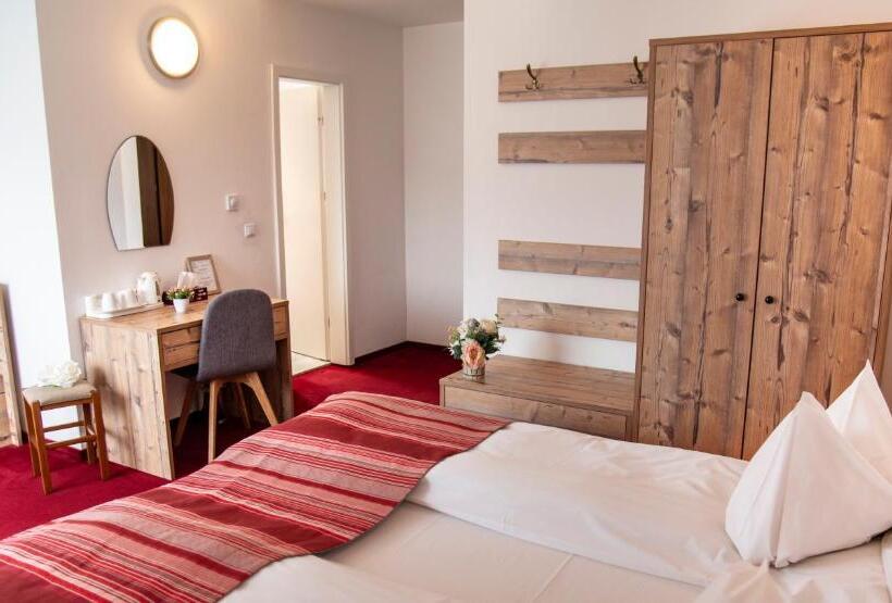 スタンダードトリプルルーム, Pensiune Rara Paltinis