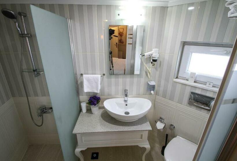 غرفة سوبيريور مزوَّدة بتراس, Biga Palas