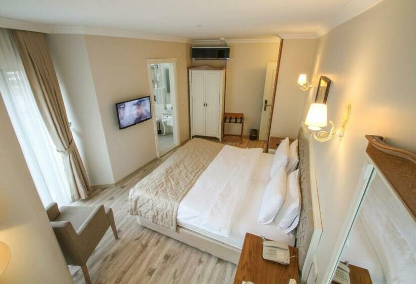 غرفة قياسية, Biga Palas