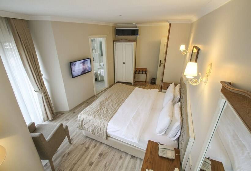 غرفة قياسية, Biga Palas