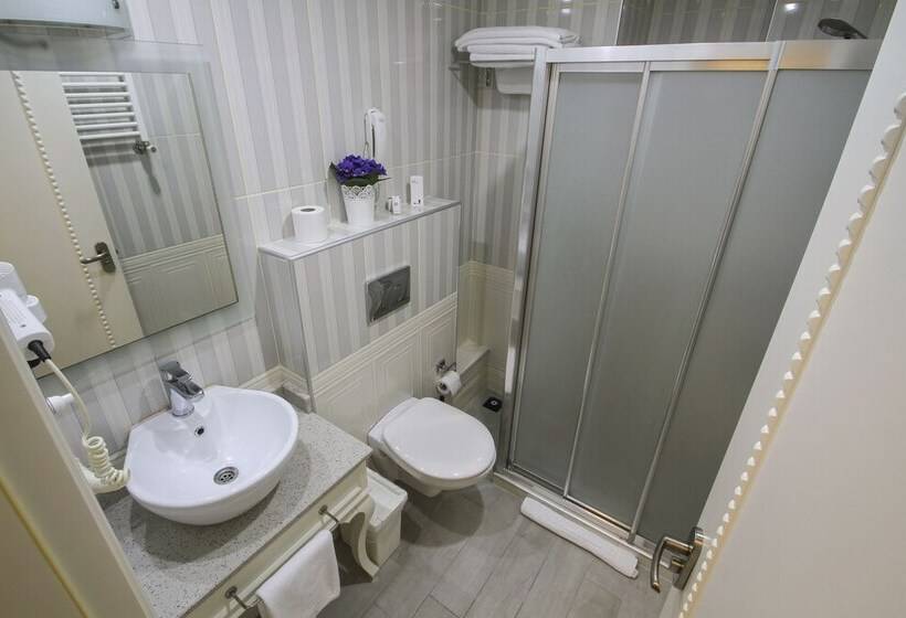 غرفة قياسية, Biga Palas