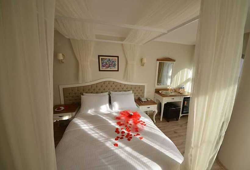 غرفة سوبيريور مزوَّدة بتراس, Biga Palas