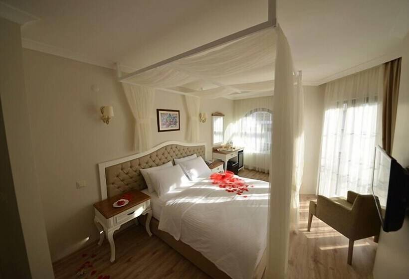 غرفة سوبيريور مزوَّدة بتراس, Biga Palas