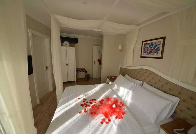 غرفة سوبيريور مزوَّدة بتراس, Biga Palas