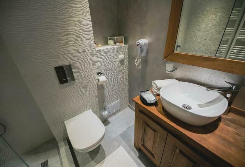 غرفة قياسية سرير كينج, Casa Seciu