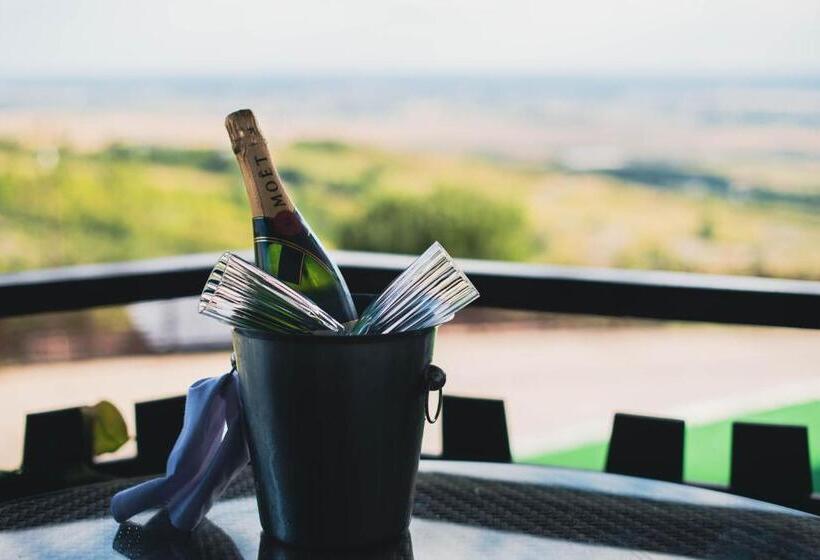 غرفة قياسية سرير كينج, Casa Seciu