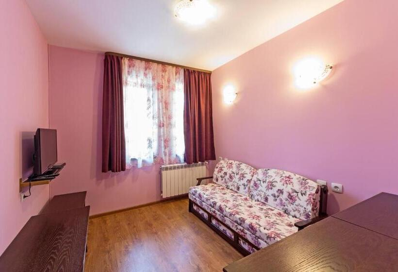 带观景的标准工作室, Complex Rayuvski Han