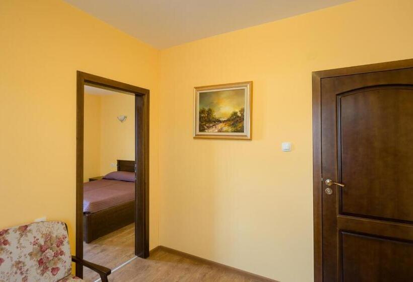 带观景的标准工作室, Complex Rayuvski Han