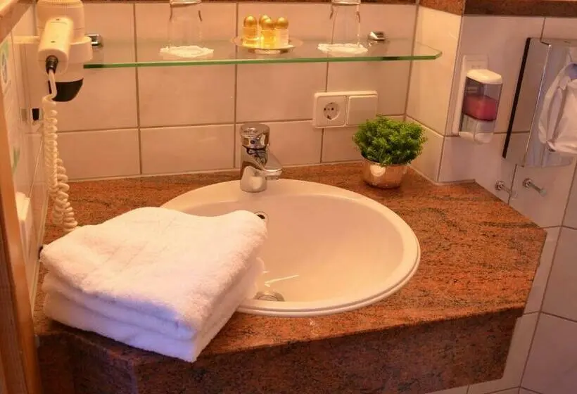 スタンダードシングルルーム, Schwarzwaldhotel Oberwiesenhof
