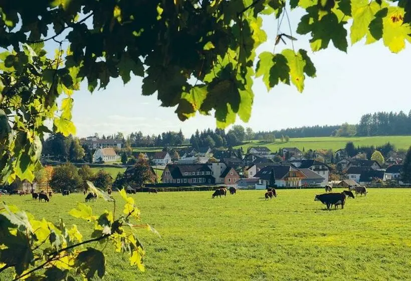 スタンダードシングルルーム, Schwarzwaldhotel Oberwiesenhof