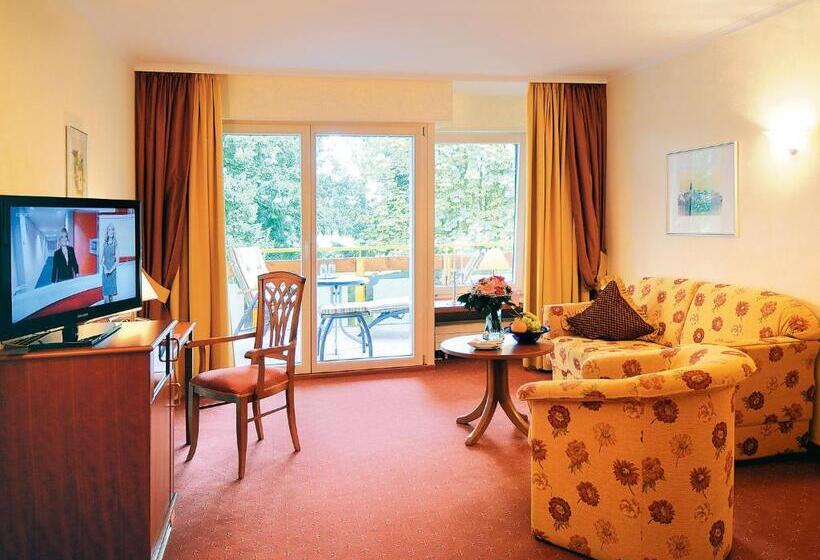 컴포트 룸, Schwarzwaldhotel Oberwiesenhof