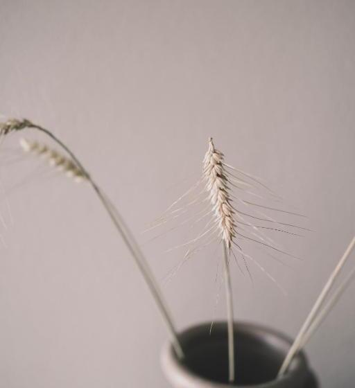 Семейный Номер, Skärgårdshotellet Hönö