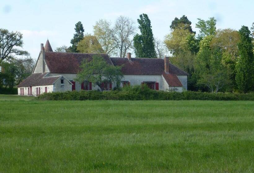 スタンダードルーム, Le Claveau