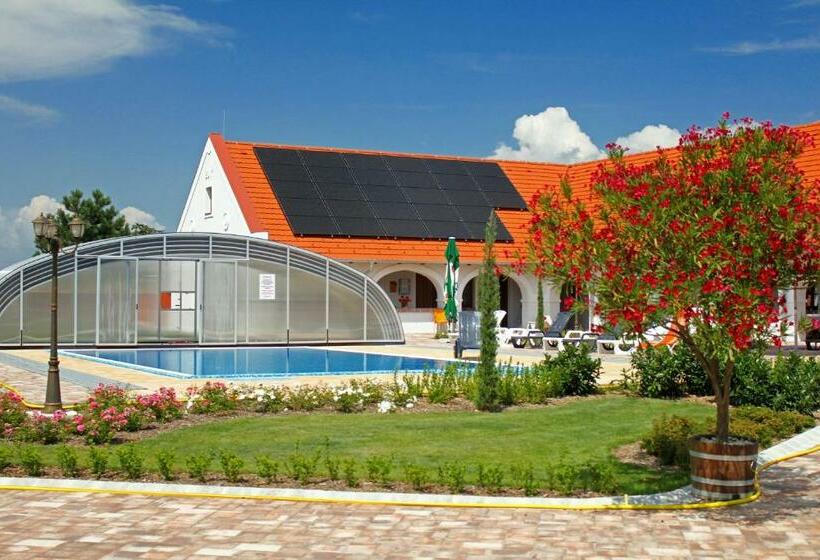 غرفة سوبيريور, Margaréta Panzió