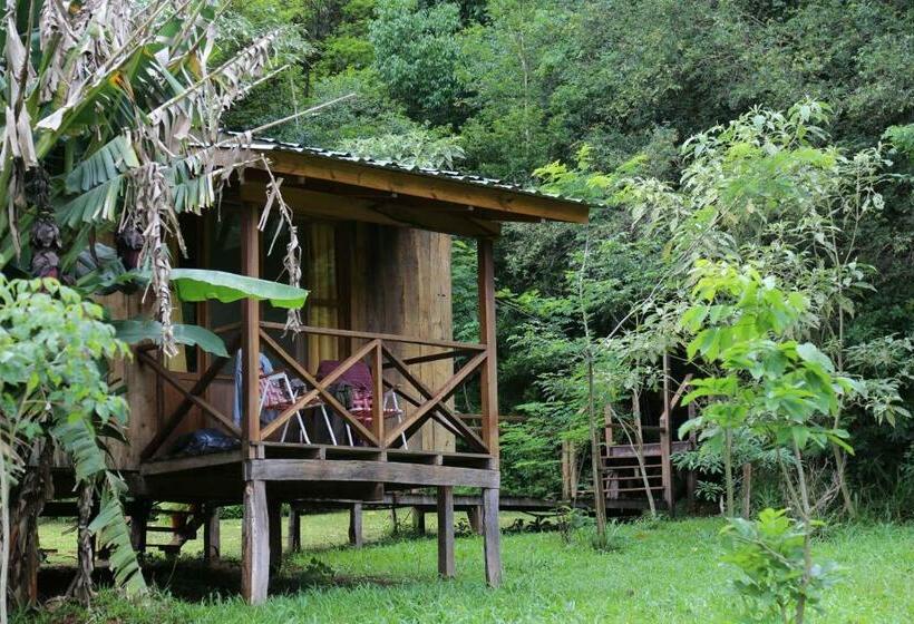 标准间, Posada Camboatá