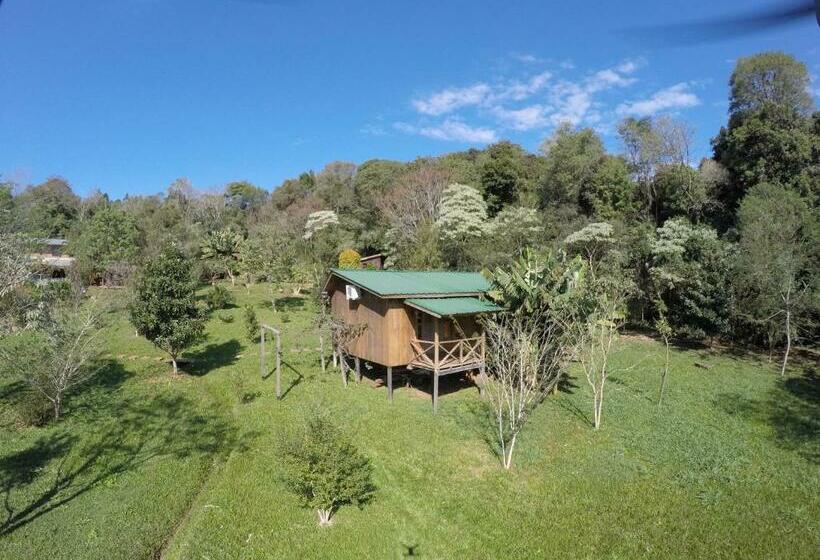 园景标准四人间, Posada Camboatá