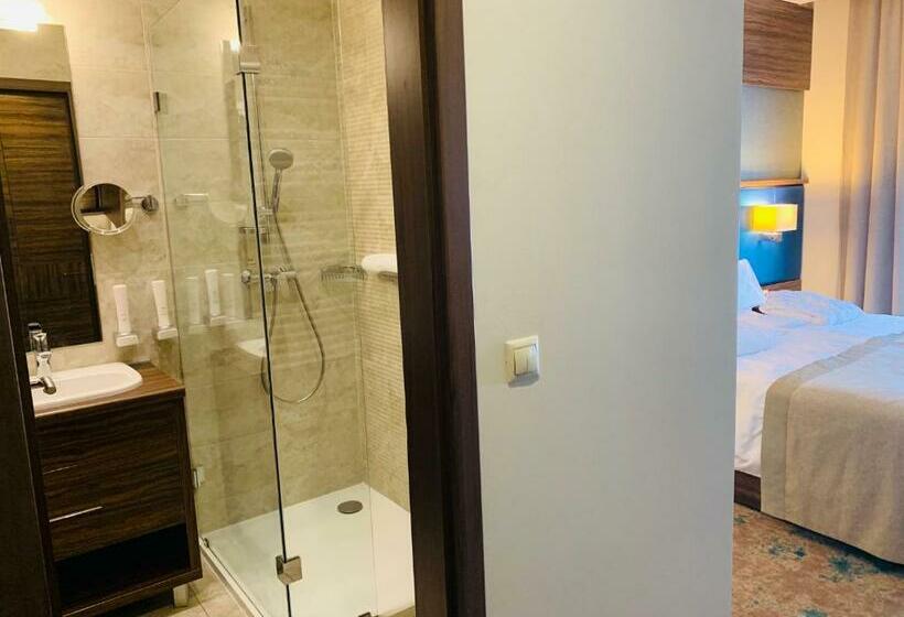 标准间, Barack Thermal Hotel And Spa