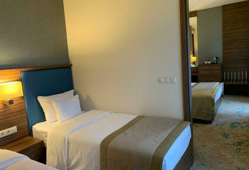 家庭间, Barack Thermal Hotel And Spa