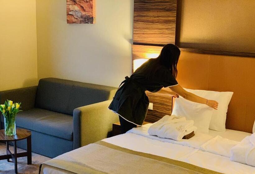 高级大房间, Barack Thermal Hotel And Spa