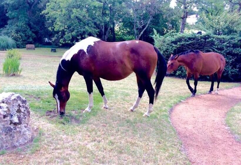 尊贵套房, Domaine Le Jardin Suspendu   Piscine Chauffée   Proche Parc Puy Dufou