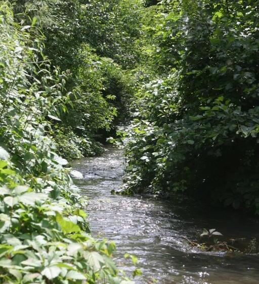 Люкс, Maison D'hôtes La Renardière