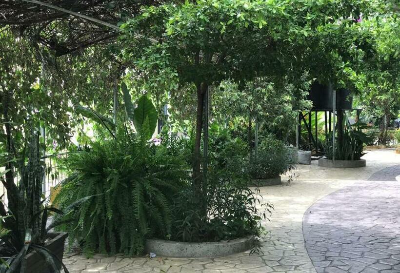 غرفة قياسية, Chicala Salgar