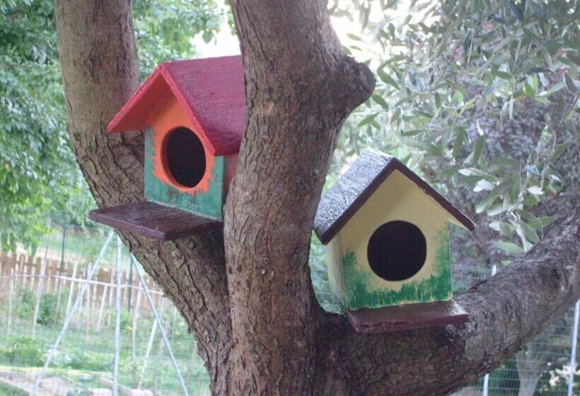 غرفة دوبلكس, Farm Stay Agriturismo La Borgaccia