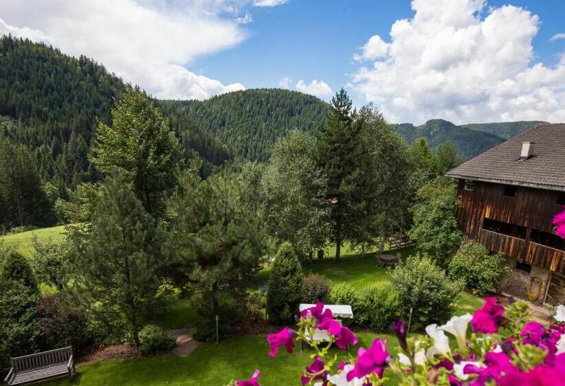 バルコニー付きスーペリアルーム, Gasthof Gasserhof