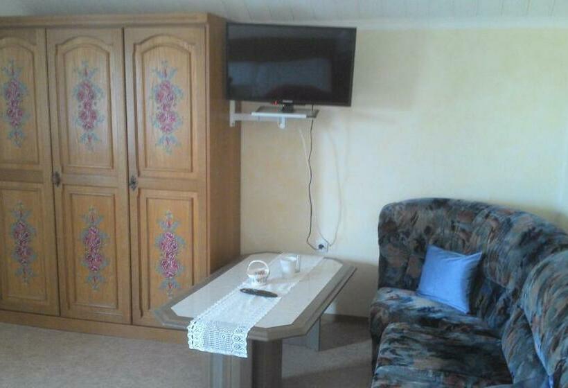 スタンダードルーム, Domizil